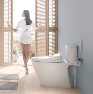 Choose a Reliable Toilet that Fits Your Bathroom and Flushes Well
