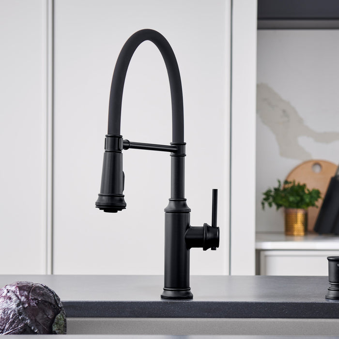 Blanco 443022 Empressa Semi-Pro Pull-Down Dual-Spray Kitchen Faucet - Matte Black