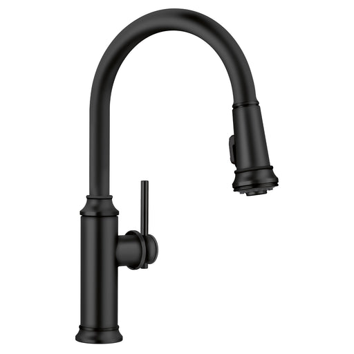 Blanco 443023 Empressa High Arc Pull-Down Dual-Spray Kitchen Faucet - Matte Black