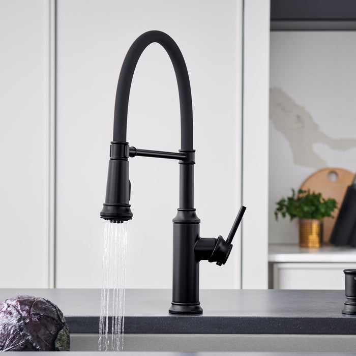 Blanco 443022 Empressa Semi-Pro Pull-Down Dual-Spray Kitchen Faucet - Matte Black