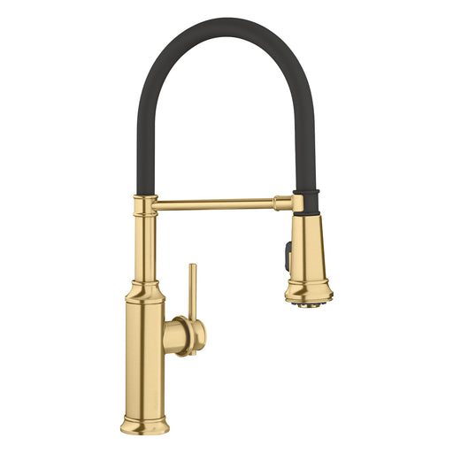Blanco 442982 Empressa Semi-Pro Pull-Down Dual-Spray Kitchen Faucet - Satin Gold