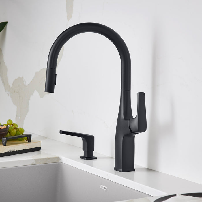 Blanco 443020 Rivana High-Arc Pull-Down Dual-Spray Kitchen Faucet - Matte Black