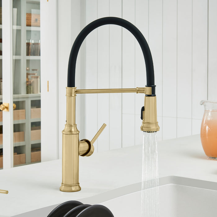Blanco 442982 Empressa Semi-Pro Pull-Down Dual-Spray Kitchen Faucet - Satin Gold