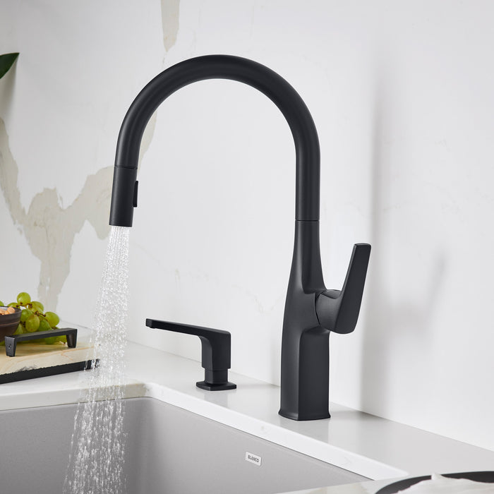 Blanco 443020 Rivana High-Arc Pull-Down Dual-Spray Kitchen Faucet - Matte Black