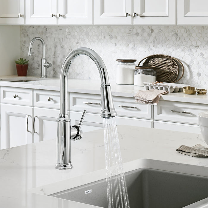 Blanco 442501 Empressa High Arc Pull-Down Dual-Spray Kitchen Faucet - Chrome