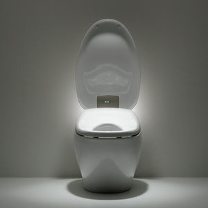 TOTO Toilets: A Worthwhile Upgrade for Homeowners