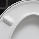 Duravit 0063810000 Rounded Toilet Seat with Cover - White, Design by Philippe Starck
