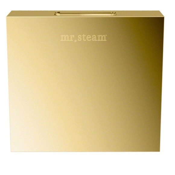 Aroma Designer 3" Wide Steamhead with AromaTherapy in Square Polished Brass