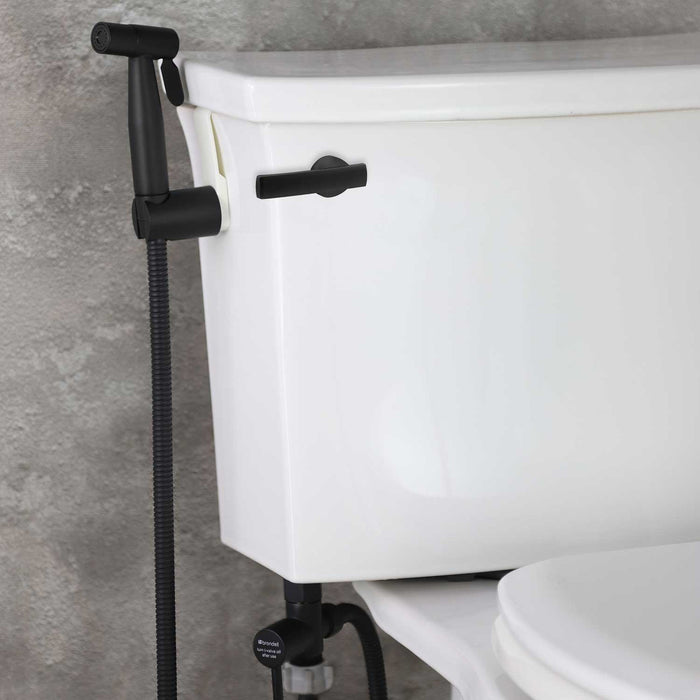 Brondell CSL-40MB CleanSpa Luxury Hand-held Bidet in Matte Black