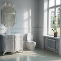 Brondell KBT-900 Coit toilet with raised lid in a gray bathroom beside a vanity and window