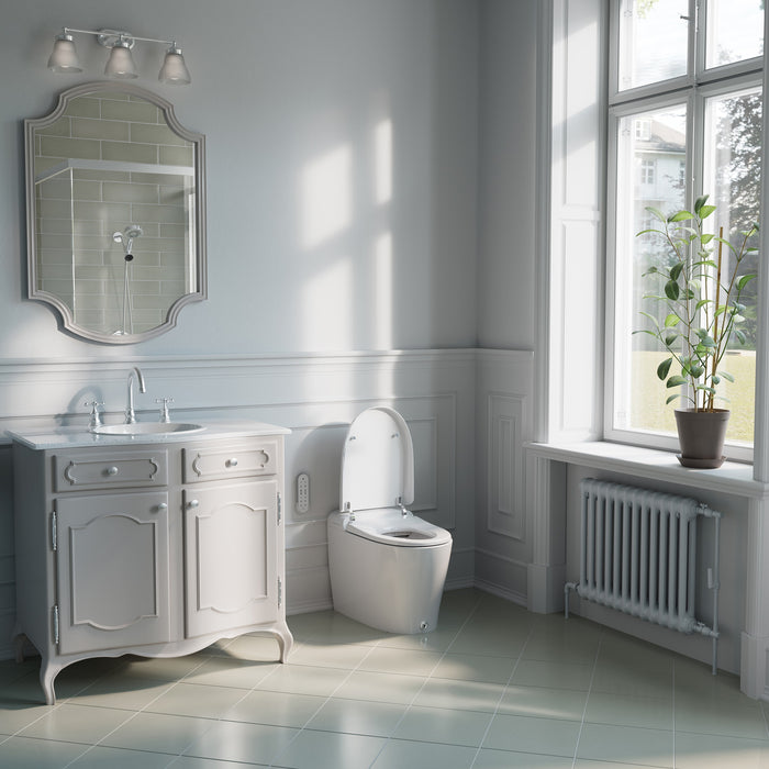 Brondell KBT-900 Coit toilet with raised lid in a gray bathroom beside a vanity and window
