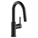 Elkay LKAV3032BK Hole Bar Faucet with Pull-down Spray