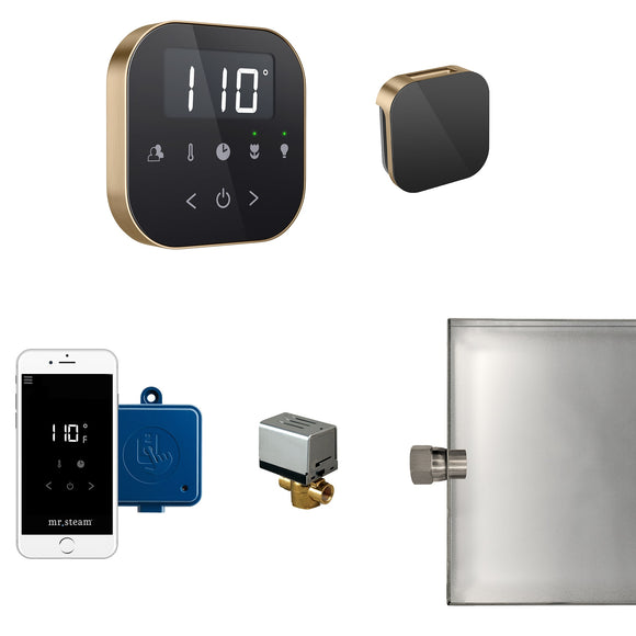 AirButler Steam Shower Control Package with AirTempo Control and Aroma Glass SteamHead in Black Brushed Bronze