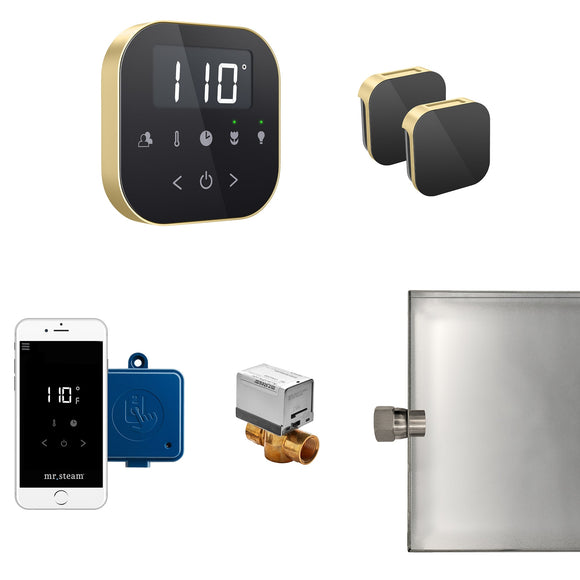 AirButler Max Steam Shower Control Package with AirTempo Control and Aroma Glass SteamHead in Black Satin Brass