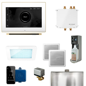 Bliss Linear Programmable Steam Generator Control Kit with iSteamX Control and Linear Steamhead in White Polished Brass