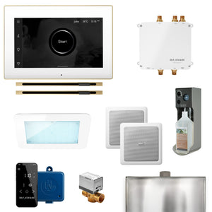 Bliss Max Linear Programmable Steam Generator Control Kit with iSteamX Control and Linear Steamhead in White Satin Brass