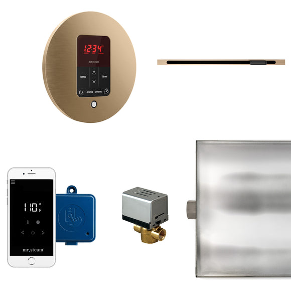 Butler Linear Steam Shower Control Package with iTempoPlus Control and Linear SteamHead in Round Brushed Bronze