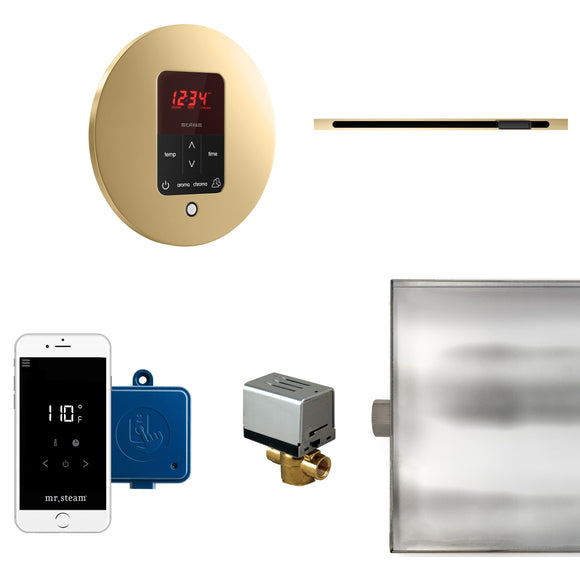 Butler Linear Steam Shower Control Package with iTempoPlus Control and Linear SteamHead in Round Polished Brass
