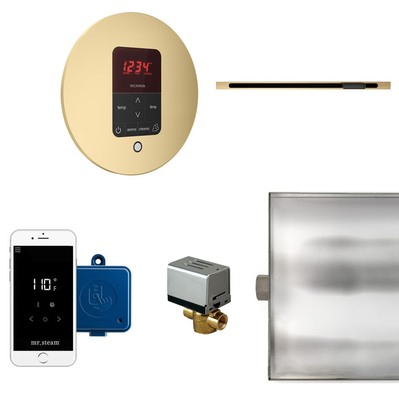 Butler Linear Steam Shower Control Package with iTempoPlus Control and Linear SteamHead in Round Satin Brass