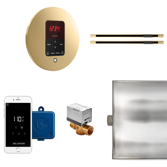 Butler Max Linear Steam Shower Control Package with iTempoPlus Control and Linear SteamHead in Round Polished Brass