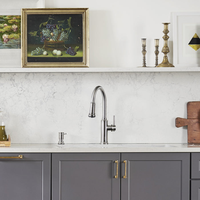 Blanco 442501 Empressa High Arc Pull-Down Dual-Spray Kitchen Faucet - Chrome