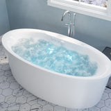 ANZZI FT-AZ101 Heidi 5.7 ft. Whirlpool and Air Bath Tub in White