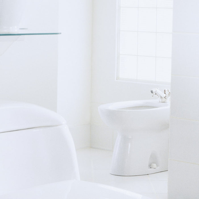 TOTO BT500AR#12 Piedmont Single Hole Deck Mounted Faucet Bidet, Sedona Beige