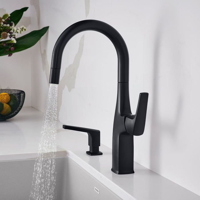 Blanco 443021 Rivana Pull-Down Bar Faucet - Matte Black