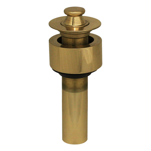 Whitehaus 10.515-B Lift and Turn Drain