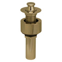 Whitehaus 10.615-B Lift and Turn Drain