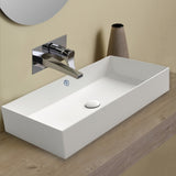 Whitehaus B-AG80 Britannia Large Rectangular Above Mount Sink