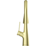 Pfister LG529-NEBG Neera Pull-Down Kitchen Faucet in Brushed Gold