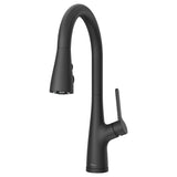 Pfister LG529-NEB Neera Pull-Down Kitchen Faucet in Matte Black