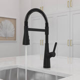 Pfister LG529-NECB Neera Pull-Down Culinary Kitchen Faucet in Matte Black