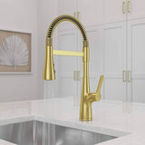 Pfister LG529-NECBG Neera Pull-Down Culinary Kitchen Faucet in Brushed Gold