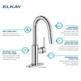 Elkay LKAV3032LS Avado Single Hole Bar Faucet with Pull-down Spray and Lever Handle in Lustrous Steel Finish