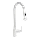 Whitehaus WHS6800-PDK-PSS Waterhaus Single-Hole Faucet