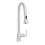 Whitehaus WHS6800-PDK-PSS Waterhaus Single-Hole Faucet with Gooseneck Swivel Spout