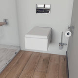 EAGO WD333 Square Modern Wall Mount Dual Flush Toilet Bowl