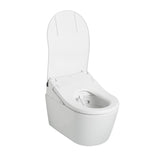 TOTO CWT4474047CMFG#MS Washlet+ RP Wall-Hung D-Shape Toilet with RX Bidet Seat and DuoFit In-Wall Tank System