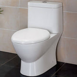 Eago TB346 Modern Dual Flush One Piece High Efficiency Low Flush Ceramic Toilet