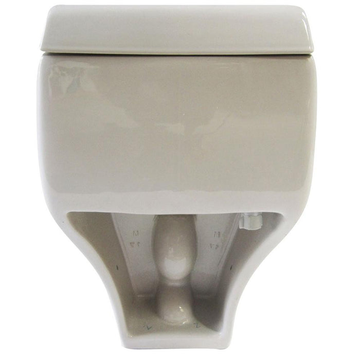 Eago TB108 One Piece High Efficiency Low Flush Eco-Friendly Ceramic Toilet